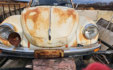 Unknown-Beetle-1975-19