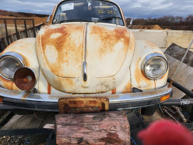 Unknown-Beetle-1975-19