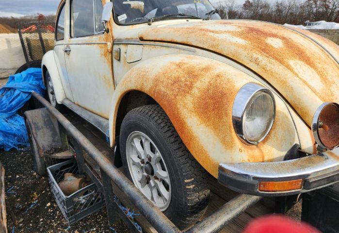 Unknown-Beetle-1975-2