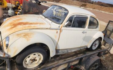 Unknown-Beetle-1975-21