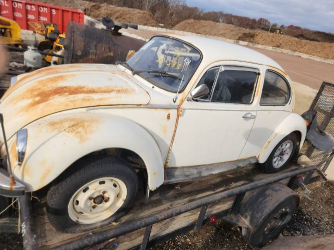 Unknown-Beetle-1975-21