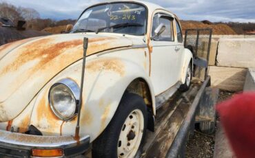 Unknown-Beetle-1975
