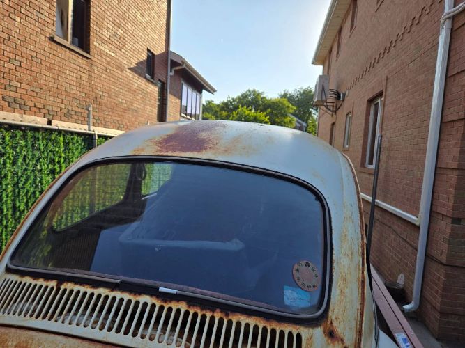 Unknown-Beetle-1975-5