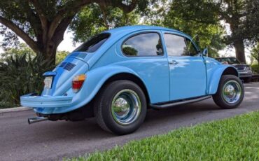 Unknown-Beetle-1975-Sky-Blue-Black-10