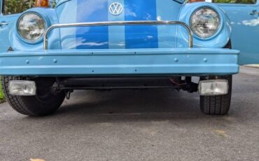 Unknown-Beetle-1975-Sky-Blue-Black-11