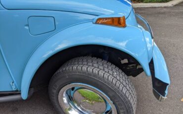 Unknown-Beetle-1975-Sky-Blue-Black-15