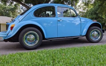 Unknown-Beetle-1975-Sky-Blue-Black-16