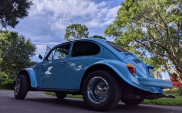 Unknown-Beetle-1975-Sky-Blue-Black-3