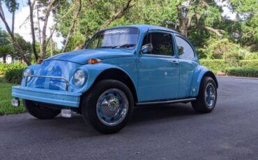Unknown-Beetle-1975-Sky-Blue-Black