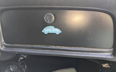 Unknown-Beetle-1975-Sky-Blue-Black-6