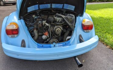 Unknown-Beetle-1975-Sky-Blue-Black-7
