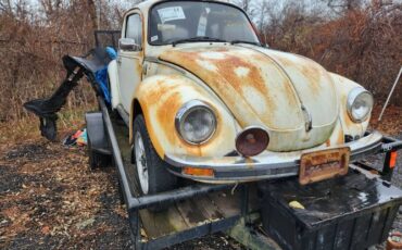 Unknown-Beetle-1975-White
