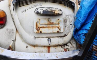 Unknown-Beetle-1975-White-4