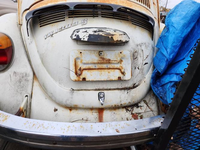 Unknown-Beetle-1975-White-4