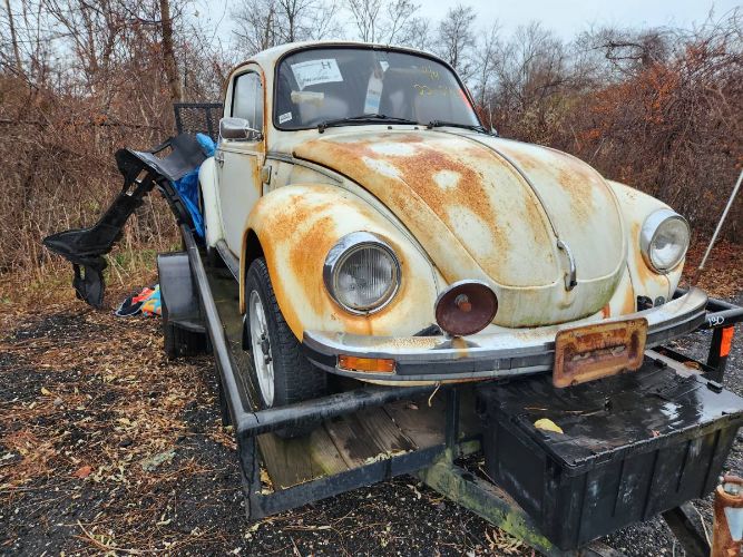 Unknown-Beetle-1975-White