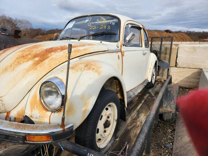 Unknown-Beetle-1975