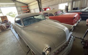 Unknown-Bel-air-1954-Gray-21