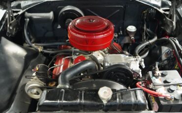 Unknown-Belvedere-1955-Black-Red-26