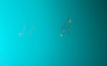 Unknown-Biscayne-1958-Tropic-Turquoise-Light-Blue-27