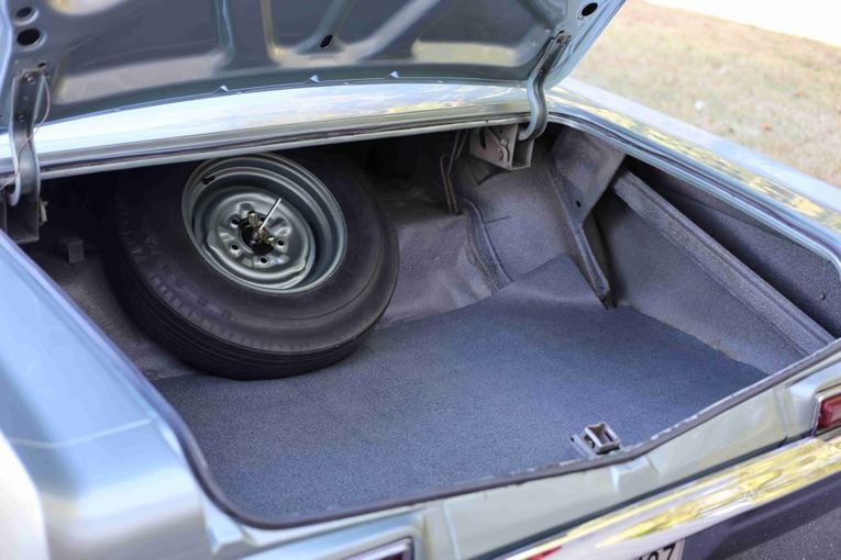 Unknown-Biscayne-1966-Blue-Beige-10