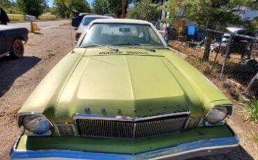 Unknown-Bobcat-1975-Green-10
