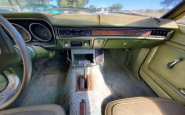 Unknown-Bobcat-1975-Green-11