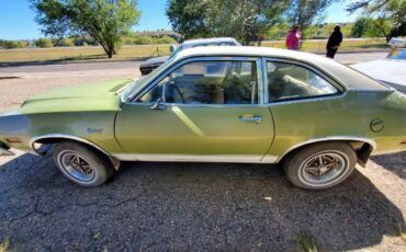 Unknown-Bobcat-1975-Green-13