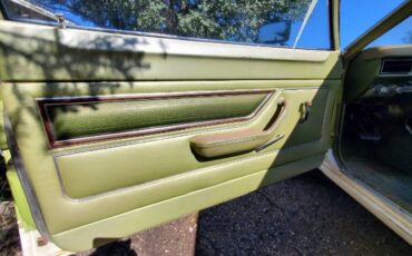 Unknown-Bobcat-1975-Green-18