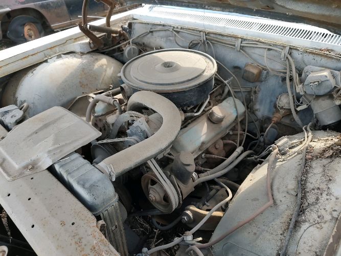 Unknown-Bonneville-1964-1