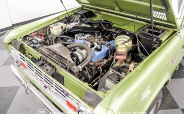 Unknown-Bronco-1968-Lime-Gold-Metallic-Saddle-30