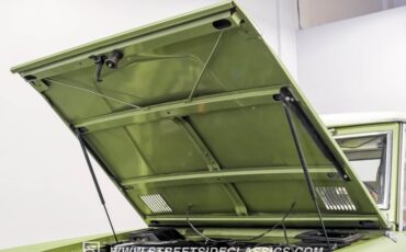 Unknown-Bronco-1968-Lime-Gold-Metallic-Saddle-34
