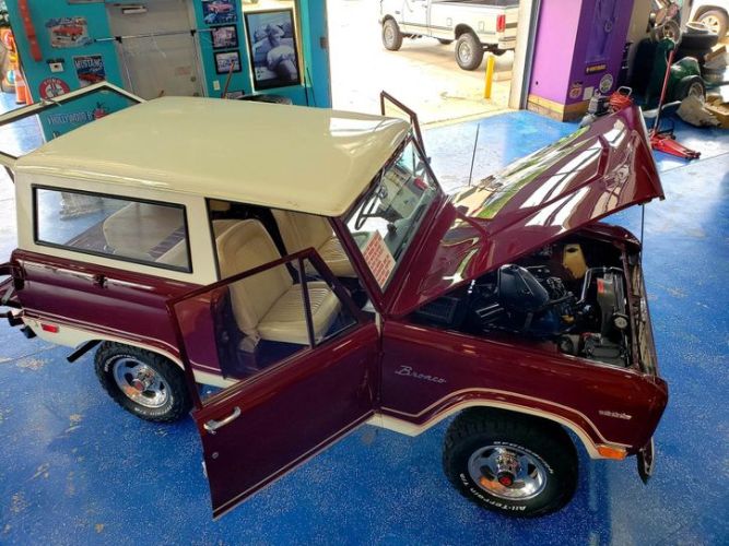 Unknown-Bronco-1969-Burgundy-White-13