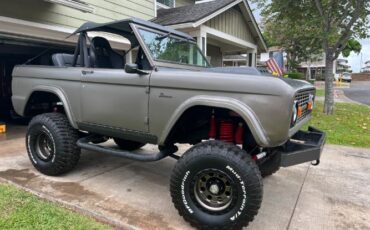 Unknown-Bronco-1969-Gray-Black