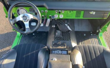 Unknown-Bronco-1970-Green-6