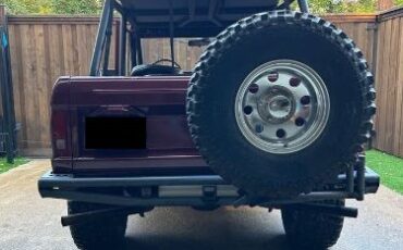 Unknown-Bronco-1971-Custom-3