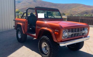 Unknown-Bronco-1972-Copper-1