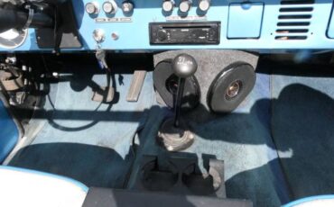 Unknown-Bronco-1973-Brittney-Blue-14