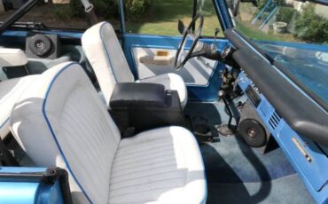 Unknown-Bronco-1973-Brittney-Blue-15