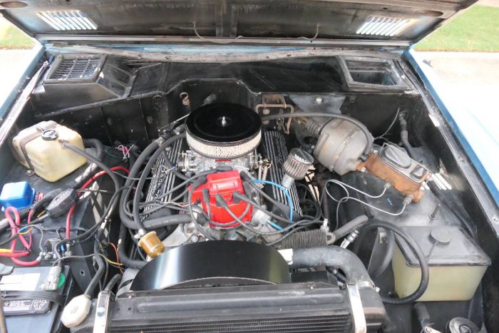 Unknown-Bronco-1973-Brittney-Blue-3