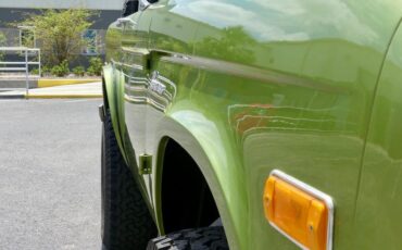 Unknown-Bronco-1973-Limestone-Green-Meta-Black-10