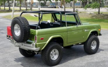 Unknown-Bronco-1973-Limestone-Green-Meta-Black-22