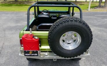 Unknown-Bronco-1973-Limestone-Green-Meta-Black-31