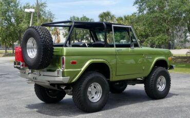 Unknown-Bronco-1973-Limestone-Green-Meta-Black-45