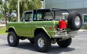 Unknown-Bronco-1973-Limestone-Green-Meta-Black-6