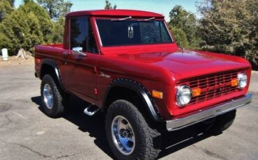 Unknown-Bronco-1973-Red-Brown-16