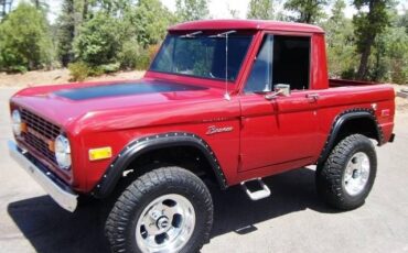 Unknown-Bronco-1973-Red-Brown-2