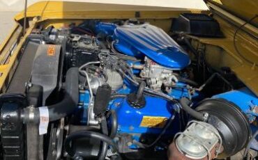 Unknown-Bronco-1973-Yellow-Tan-Houndstooth-13