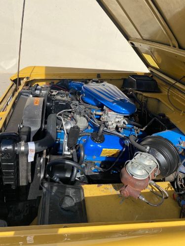 Unknown-Bronco-1973-Yellow-Tan-Houndstooth-13