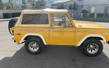 Unknown-Bronco-1973-Yellow-Tan-Houndstooth-2
