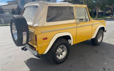 Unknown-Bronco-1973-Yellow-Tan-Houndstooth-6